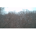 cm140316_113139051.gif