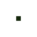 default_grass.png