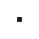 default_grass.png